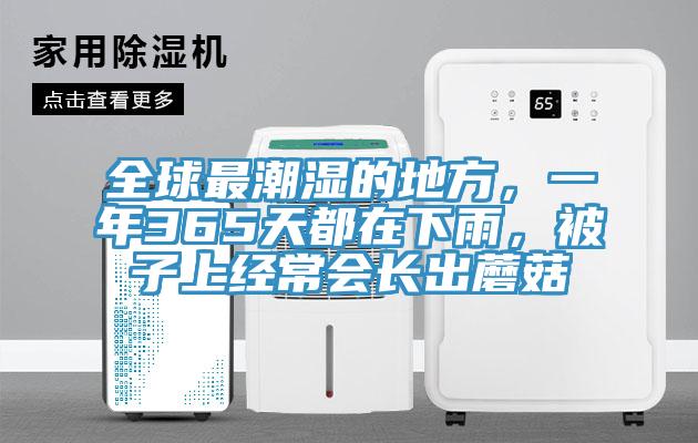 全球最潮濕的地方,一年365天都在下雨,被子上經(jīng)常會長出蘑菇
