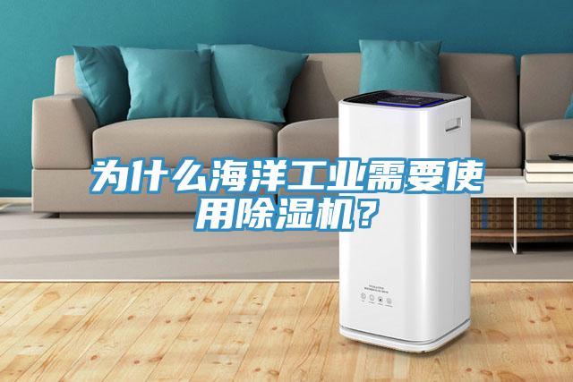 為什么海洋工業(yè)需要使用除濕機(jī)?