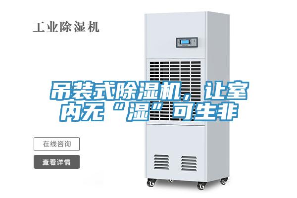 吊裝式除濕機，讓室內無“濕”可生非