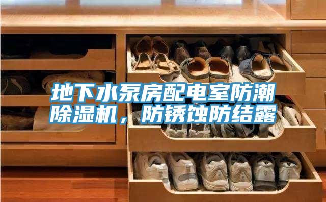 地下水泵房配電室防潮除濕機,防銹蝕防結(jié)露
