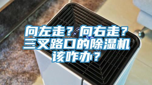 向左走?向右走?三叉路口的除濕機該咋辦?