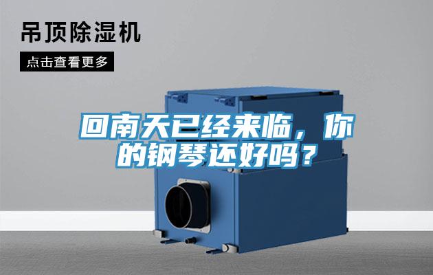 回南天已經來臨,你的鋼琴還好嗎?