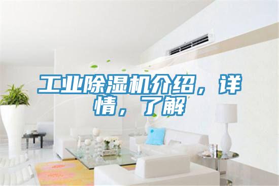 工業除濕機介紹，詳情，了解