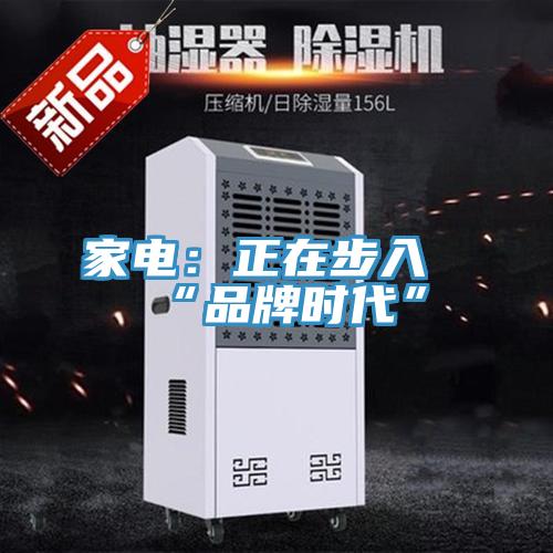 家電:正在步入“品牌時代”