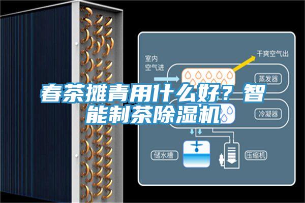 春茶攤青用什么好?智能制茶除濕機(jī)