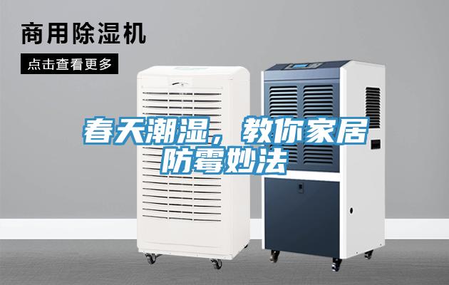 春天潮濕,教你家居防霉妙法