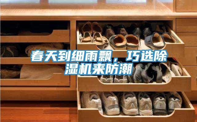 春天到細(xì)雨飄,巧選除濕機(jī)來(lái)防潮