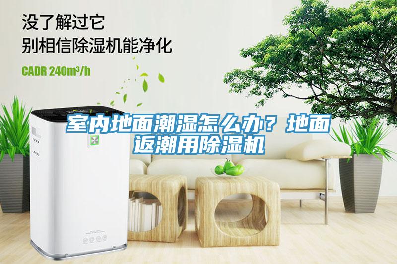室內地面潮濕怎么辦?地面返潮用除濕機