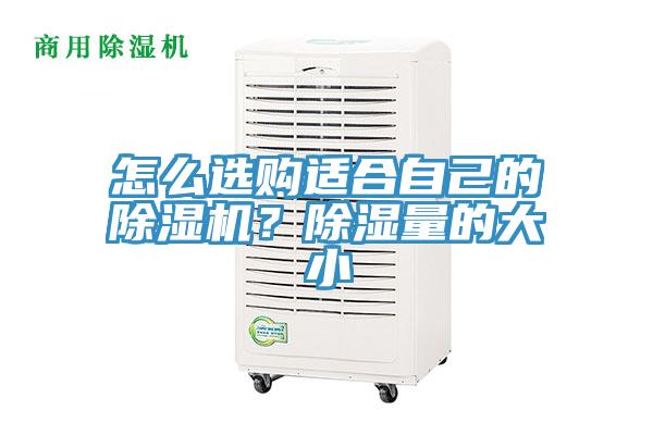 怎么選購(gòu)適合自己的除濕機(jī)？除濕量的大小