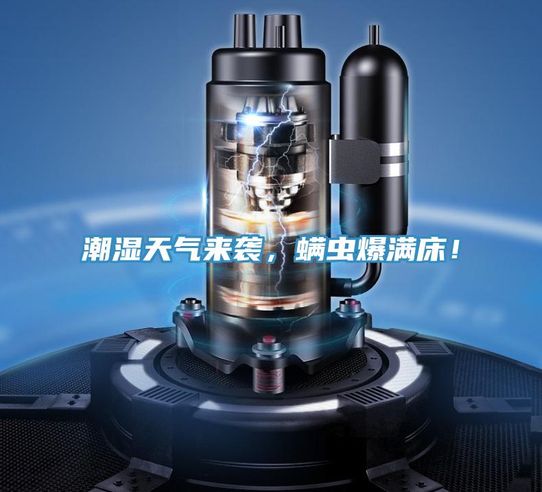 潮濕天氣來襲,螨蟲爆滿床!