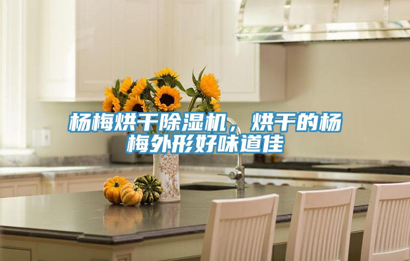 楊梅烘干除濕機,烘干的楊梅外形好味道佳