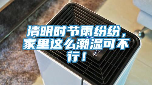 清明時節雨紛紛,家里這么潮濕可不行!