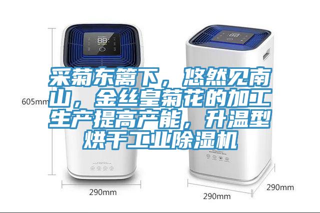 采菊東籬下，悠然見(jiàn)南山，金絲皇菊花的加工生產(chǎn)提高產(chǎn)能，升溫型烘干工業(yè)除濕機(jī)