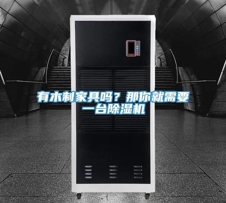 有木制家具嗎？那你就需要一臺除濕機