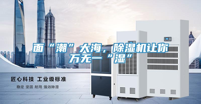 面“潮”大海，除濕機讓你萬無一“濕”