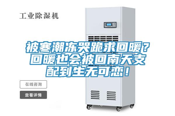 被寒潮凍哭跪求回暖？回暖也會(huì)被回南天支配到生無(wú)可戀！