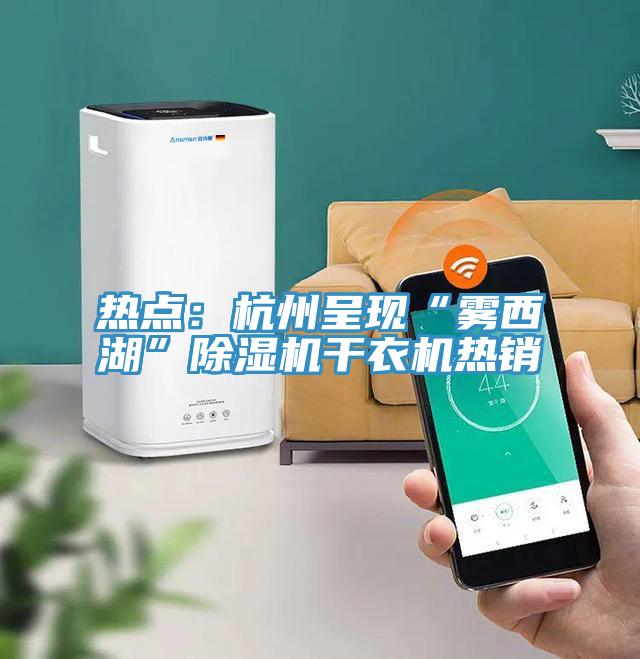 熱點:杭州呈現“霧西湖”除濕機干衣機熱銷
