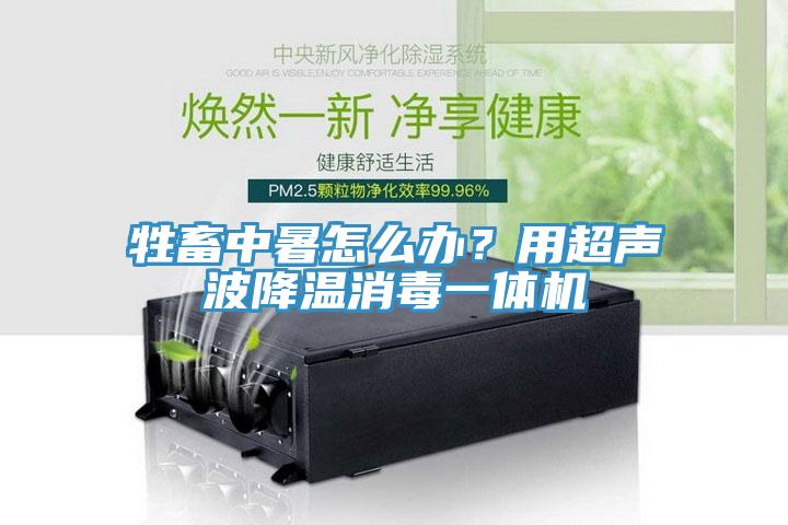 牲畜中暑怎么辦?用超聲波降溫消毒一體機