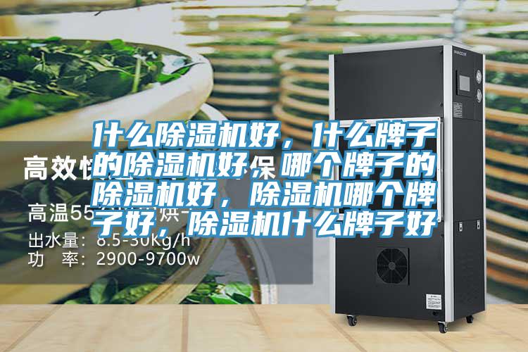 什么除濕機(jī)好，什么牌子的除濕機(jī)好，哪個牌子的除濕機(jī)好，除濕機(jī)哪個牌子好，除濕機(jī)什么牌子好