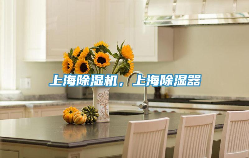 上海除濕機，上海除濕器
