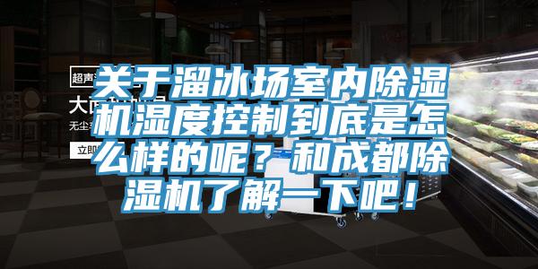 關于溜冰場室內除濕機濕度控制到底是怎么樣的呢？和成都除濕機了解一下吧！