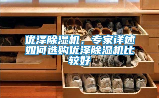 優(yōu)澤除濕機(jī)，專(zhuān)家詳述如何選購(gòu)優(yōu)澤除濕機(jī)比較好