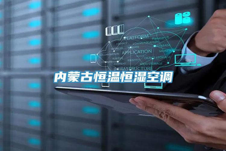 內蒙古恒溫恒濕空調