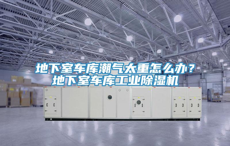 地下室車庫潮氣太重怎么辦？地下室車庫工業(yè)除濕機(jī)
