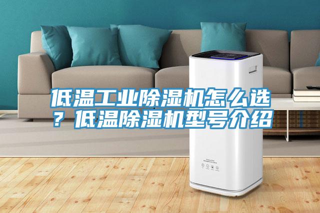 低溫工業除濕機怎么選？低溫除濕機型號介紹
