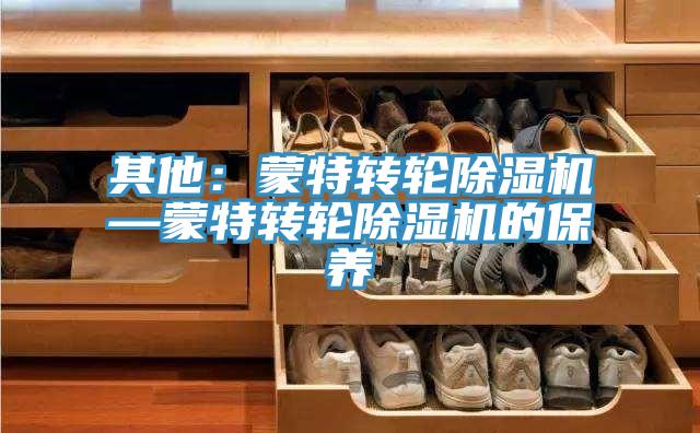 其他：蒙特轉輪除濕機—蒙特轉輪除濕機的保養