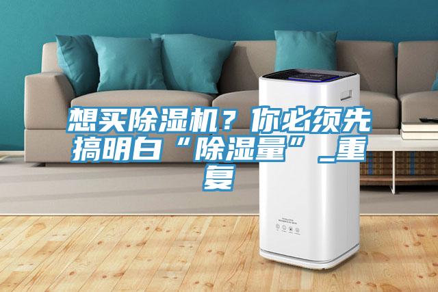 想買除濕機(jī)？你必須先搞明白“除濕量”_重復(fù)