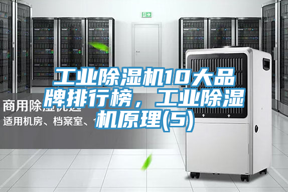 工業(yè)除濕機(jī)10大品牌排行榜，工業(yè)除濕機(jī)原理(5)