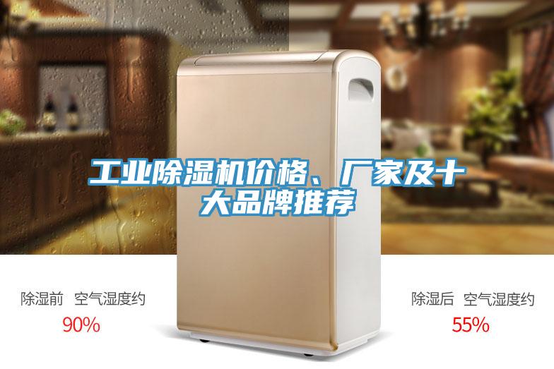 工業(yè)除濕機(jī)價(jià)格、廠家及十大品牌推薦