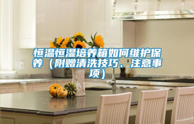 恒溫恒濕培養箱如何維護保養（附贈清洗技巧、注意事項）