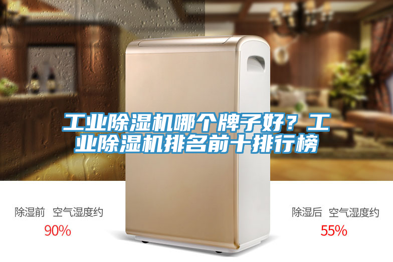 工業除濕機哪個牌子好？工業除濕機排名前十排行榜