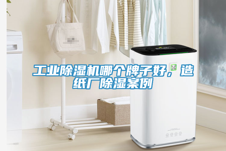工業除濕機哪個牌子好，造紙廠除濕案例