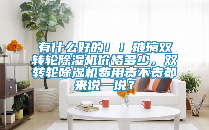 有什么好的!!玻璃雙轉輪除濕機價格多少,雙轉輪除濕機費用貴不貴都來說一說?