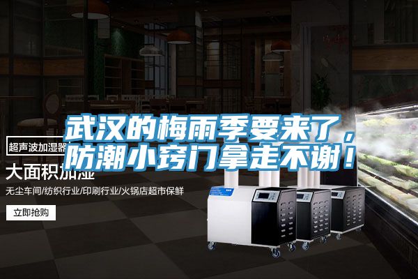 武漢的梅雨季要來了,防潮小竅門拿走不謝!