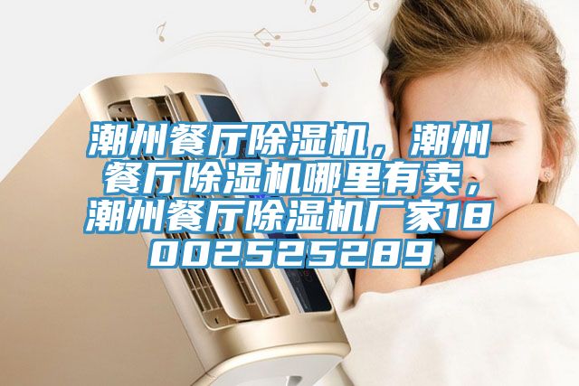 潮州餐廳除濕機(jī)，潮州餐廳除濕機(jī)哪里有賣，潮州餐廳除濕機(jī)廠家18002525289