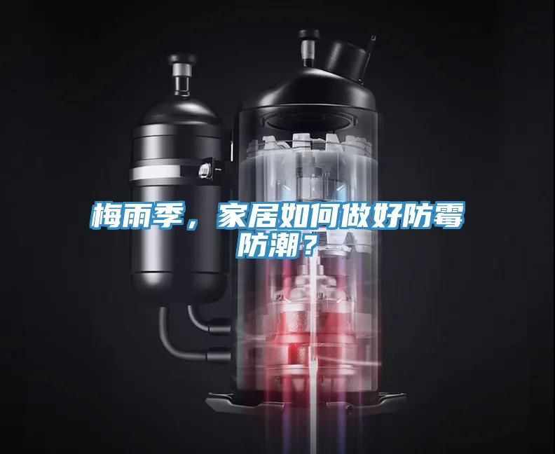 梅雨季，家居如何做好防霉防潮？