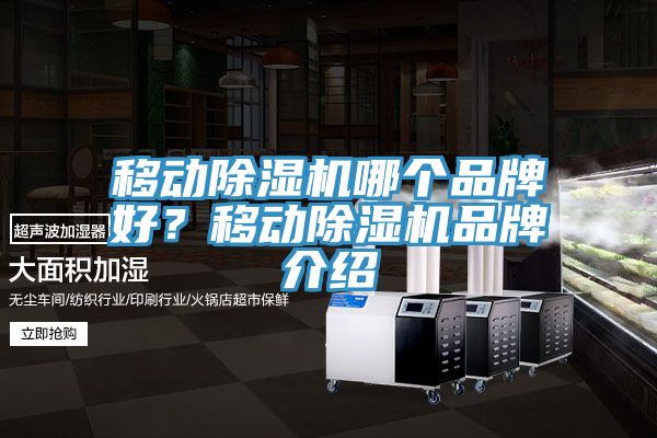 移動除濕機(jī)哪個(gè)品牌好?移動除濕機(jī)品牌介紹