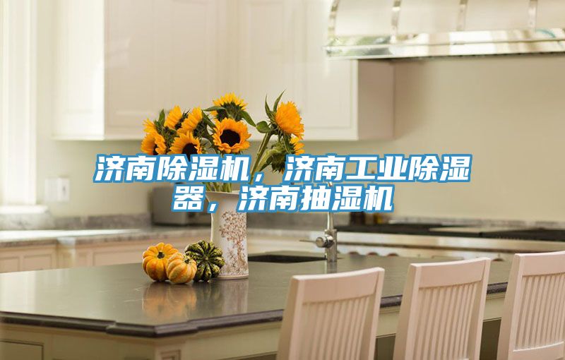 濟(jì)南除濕機(jī)，濟(jì)南工業(yè)除濕器，濟(jì)南抽濕機(jī)