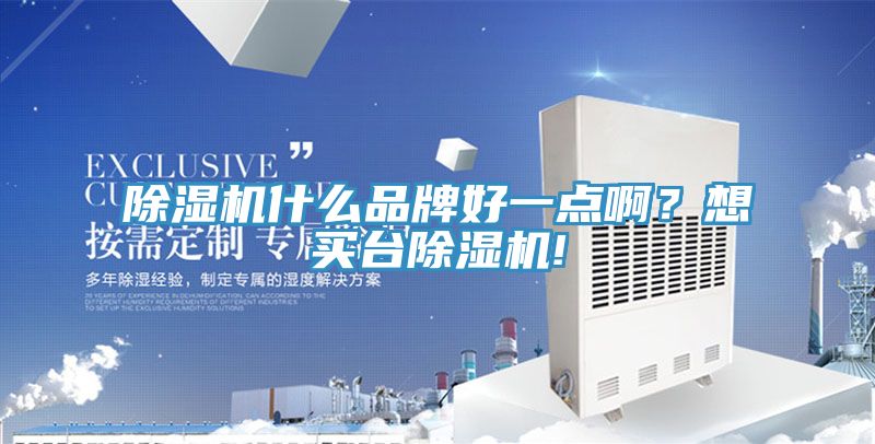 除濕機(jī)什么品牌好一點(diǎn)啊？想買臺(tái)除濕機(jī)!