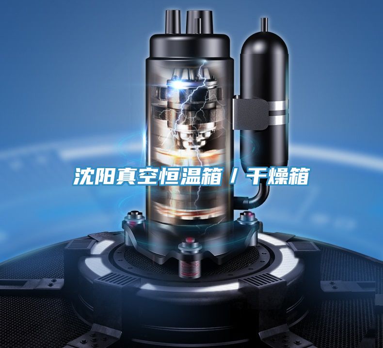 沈陽真空恒溫箱/干燥箱