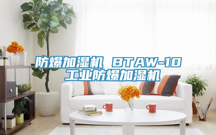 防爆加濕機 BTAW-10 工業防爆加濕機
