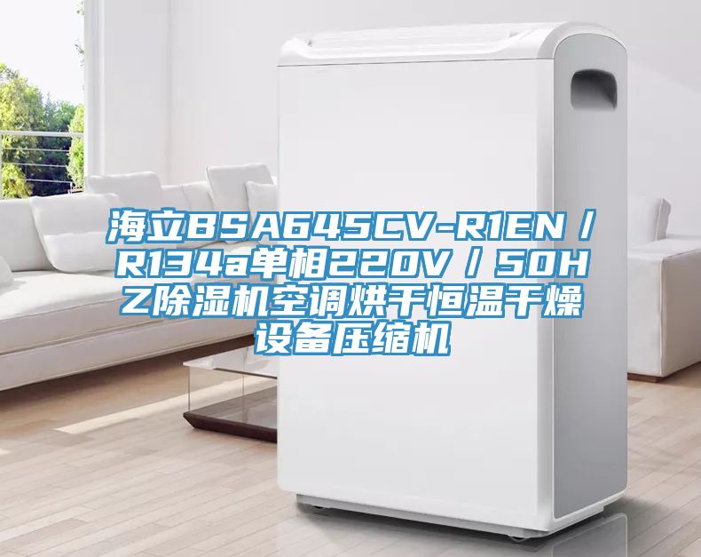 海立BSA645CV-R1EN/R134a單相220V/50HZ除濕機空調烘干恒溫干燥設備壓縮機