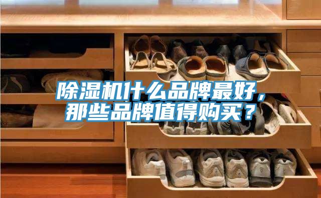 除濕機(jī)什么品牌最好，那些品牌值得購買？