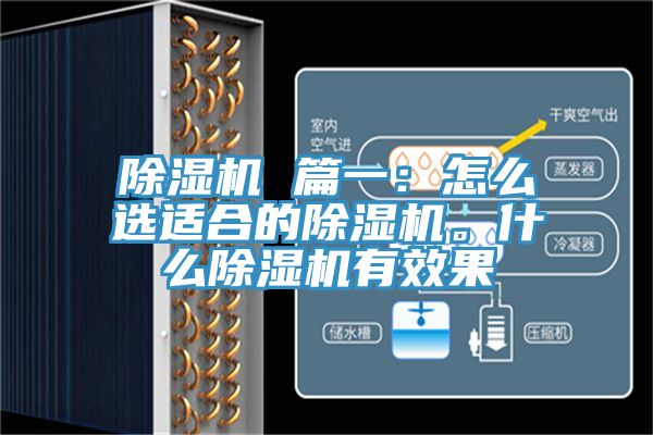 除濕機 篇一:怎么選適合的除濕機。什么除濕機有效果