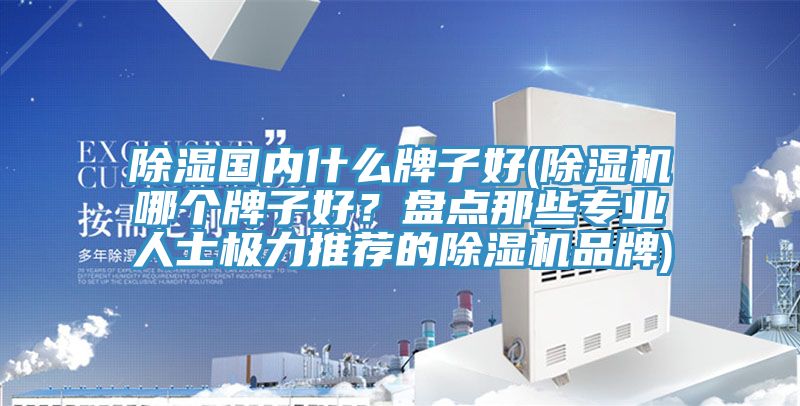 除濕國內什么牌子好(除濕機哪個牌子好?盤點那些專業人士極力推薦的除濕機品牌)