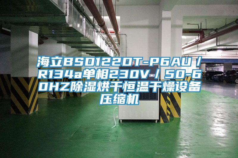 海立BSD122DT-P6AU/R134a單相230V/50-60HZ除濕烘干恒溫干燥設備壓縮機